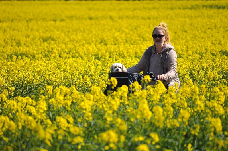 Professional Tour Leaders